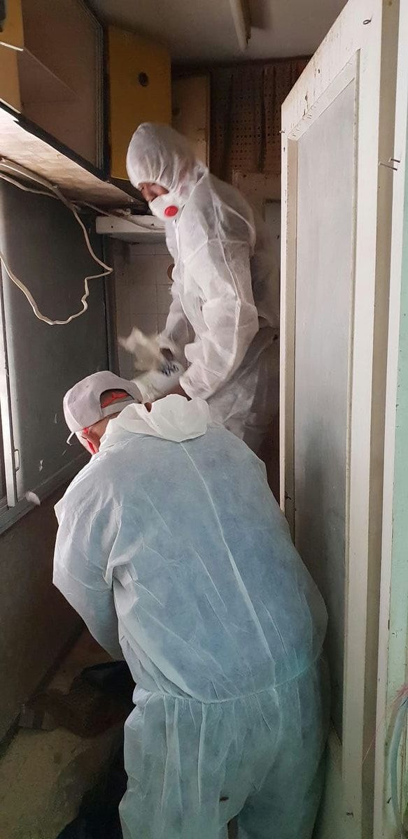 שני עובדים בחליפות מגן לבנות, אחד מהם עם מסכת נשימה, מפנים מדפים בחלל אחסון צר