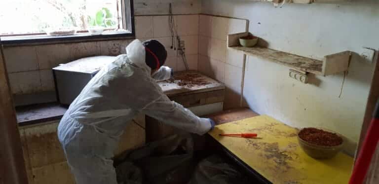 תמונה הממחישה פינוי דירת עיזבון: טיפים מקצועיים לקבלת החלטות מושכלות ומהירות