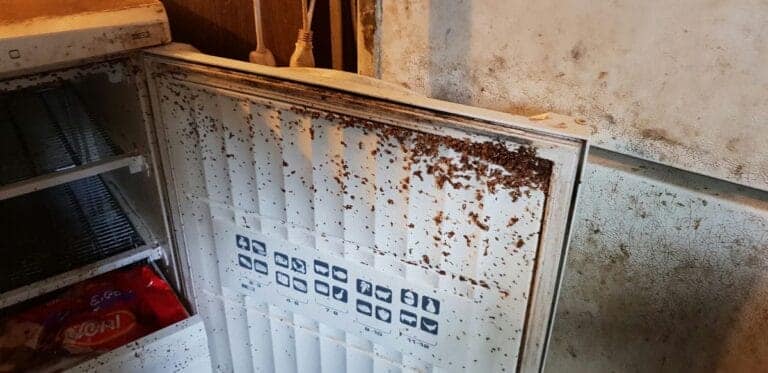 תמונה הממחישה פינוי דירות: תהליך חובה לפני מעבר לדיור מוגן