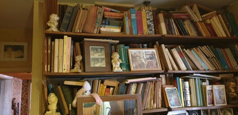 תמונה הממחישה המדריך השלם לחיטוי ופינוי דירה לאחר הזנחה כתוצאה מהחזקת יותר מדי חיות מחמד