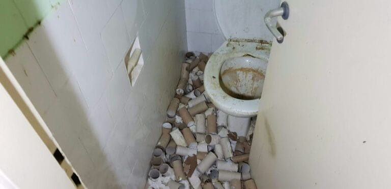 תמונה הממחישה איך לפנות לבד מרפסת אחורית עמוסת עציצים ישנים ולשדרג את המרחב