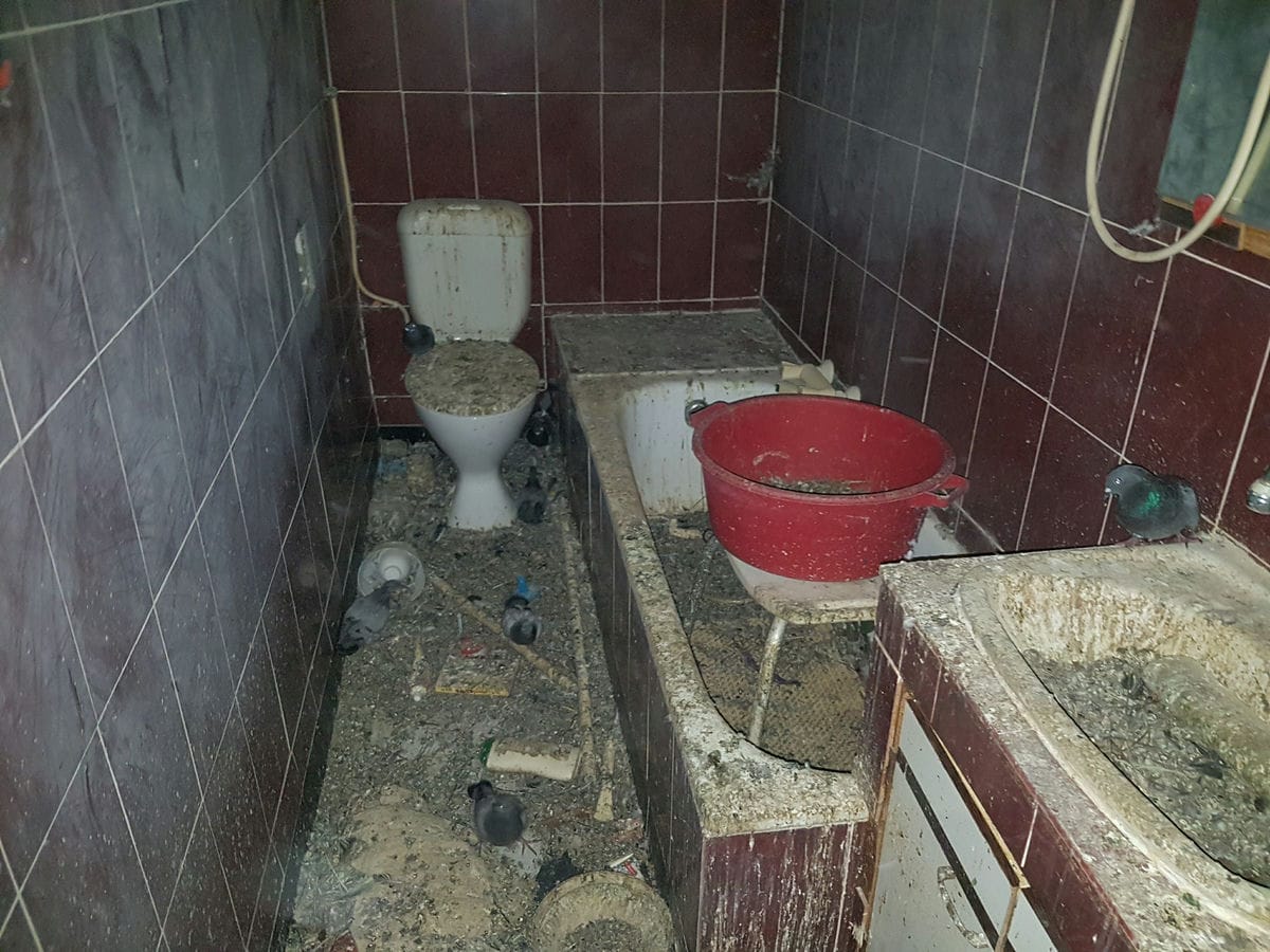 תמונה שממחישה טיפים למניעת הזנחת דירה בקרב אנשים עם בעיות נפשיות באשדוד