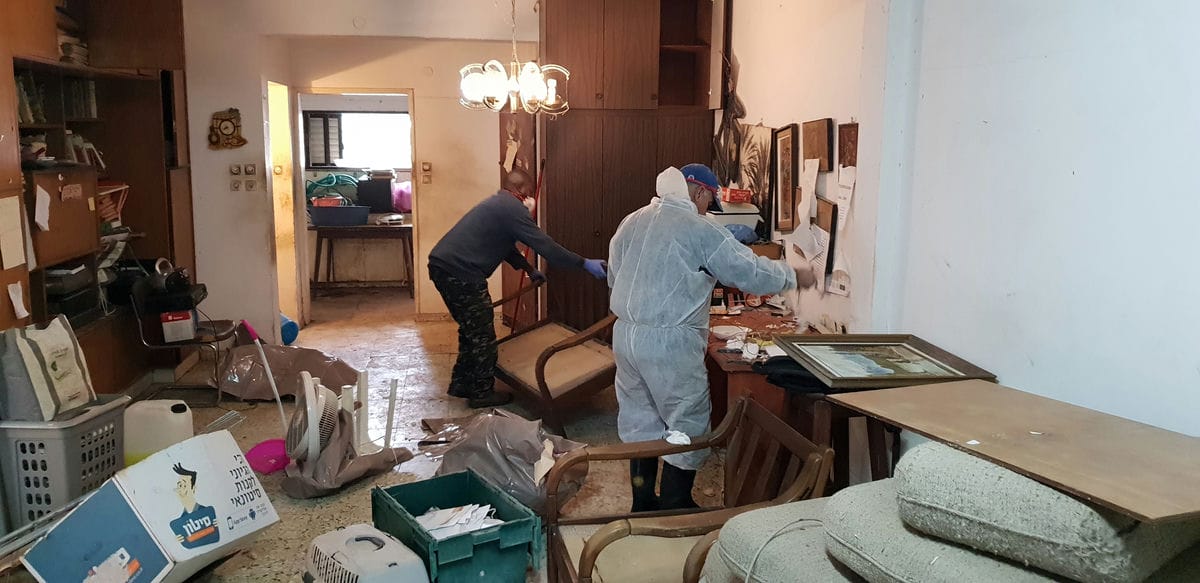 תמונה שממחישה המומחיות שלנו בפינוי לשלשת יונים – שירות מקצועי והיגייני